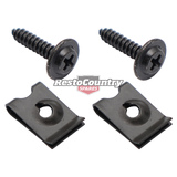 Ford Falcon Fairmont Grille Fitting Kit XE screws clips